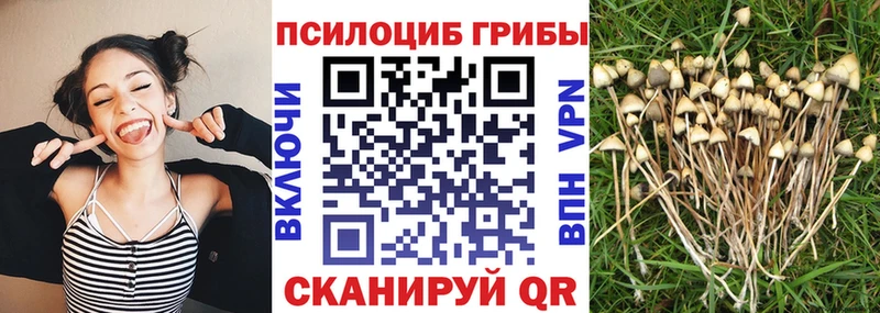 Псилоцибиновые грибы Magic Shrooms  Воскресенск 